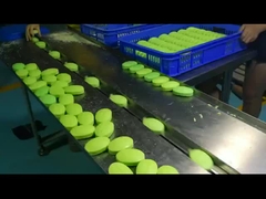 Machine à emballer automatiquement des oreillers à double fréquence pour les biscuits